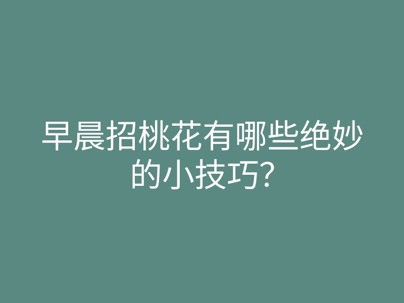 早晨招桃花有哪些绝妙的小技巧?