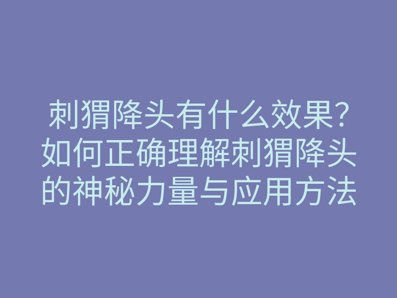 刺猬降头有什么效果?如何正确理解刺猬降头的神秘力量与应用方法