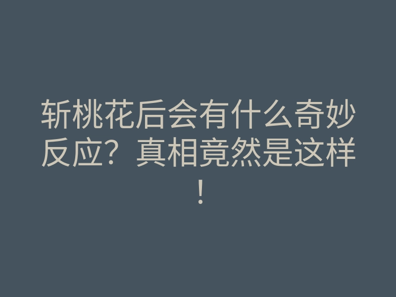斩桃花后会有什么奇妙反应?真相竟然是这样!