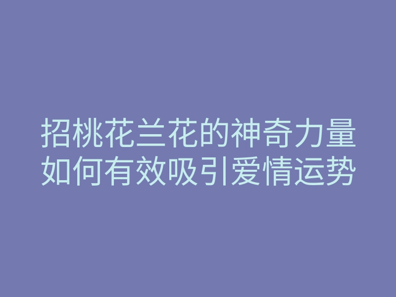 招桃花兰花的神奇力量如何有效吸引爱情运势