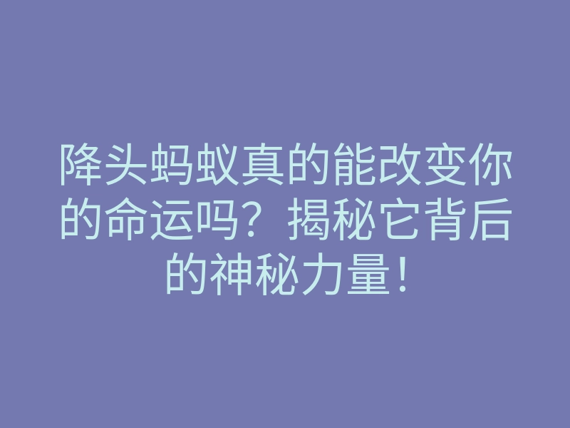 降头蚂蚁真的能改变你的命运吗?揭秘它背后的神秘力量!