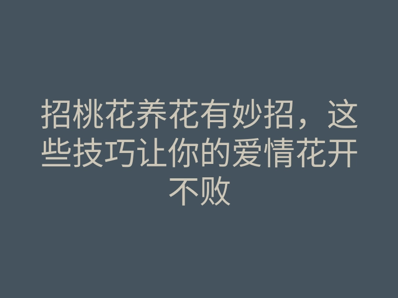 招桃花养花有妙招,这些技巧让你的爱情花开不败