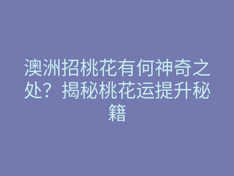 澳洲招桃花有何神奇之处?揭秘桃花运提升秘籍