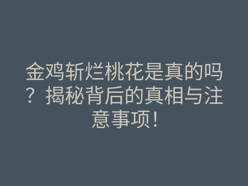 金鸡斩烂桃花是真的吗?揭秘背后的真相与注意事项!