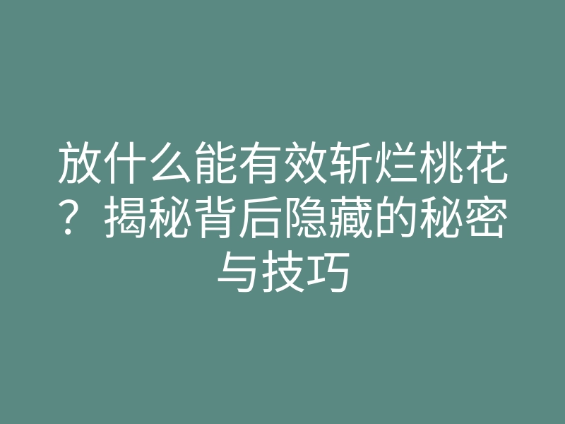 放什么能有效斩烂桃花?揭秘背后隐藏的秘密与技巧