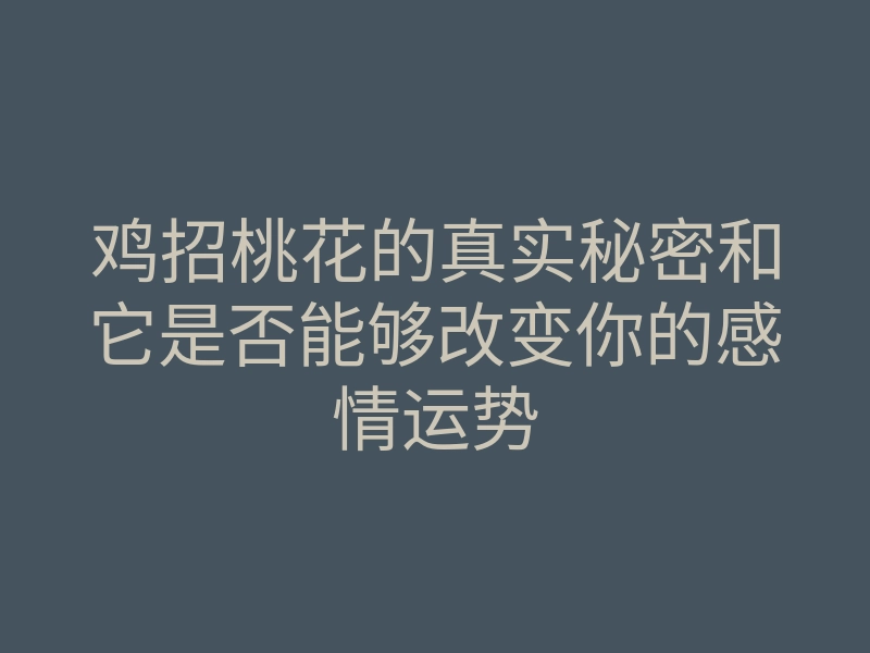 鸡招桃花的真实秘密和它是否能够改变你的感情运势