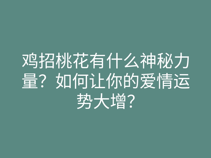 鸡招桃花有什么神秘力量?如何让你的爱情运势大增?