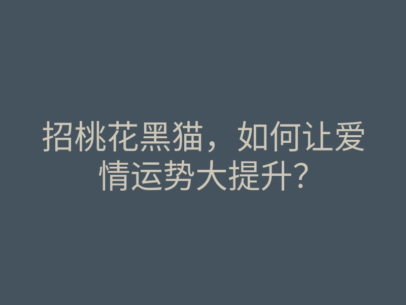 招桃花黑猫，如何让爱情运势大提升？