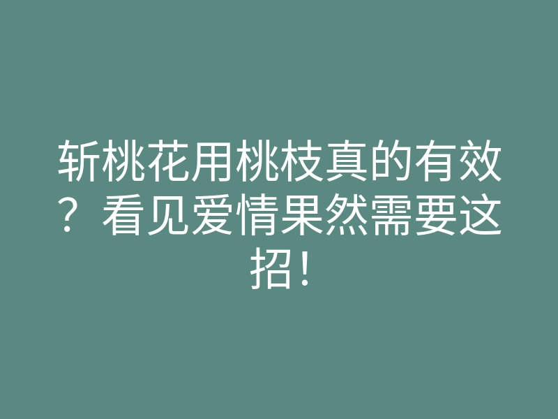 斩桃花用桃枝真的有效?看见爱情果然需要这招!