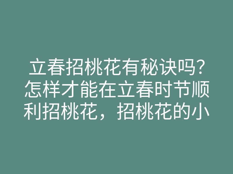 立春招桃花有秘诀吗?怎样才能在立春时节顺利招桃花,招桃花的小技巧