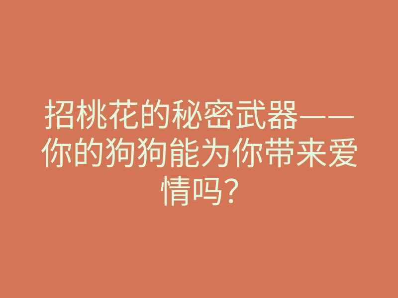 招桃花的秘密武器——你的狗狗能为你带来爱情吗?