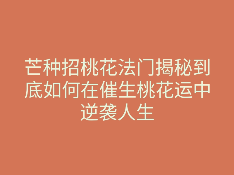 芒种招桃花法门揭秘到底如何在催生桃花运中逆袭人生