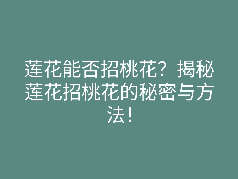 莲花能否招桃花?揭秘莲花招桃花的秘密与方法!