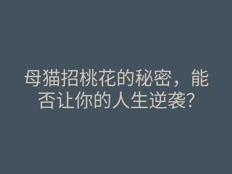 母猫招桃花的秘密，能否让你的人生逆袭？
