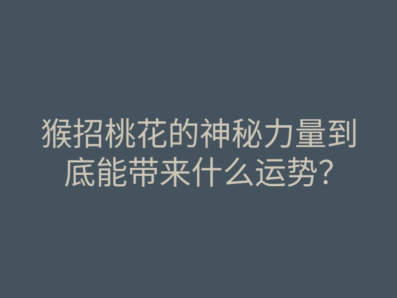猴招桃花的神秘力量到底能带来什么运势?