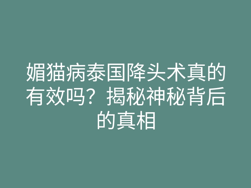 媚猫病泰国降头术真的有效吗?揭秘神秘背后的真相