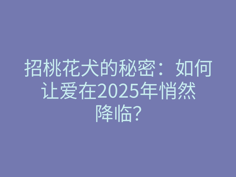 招桃花犬的秘密:如何让爱在2025年悄然降临?