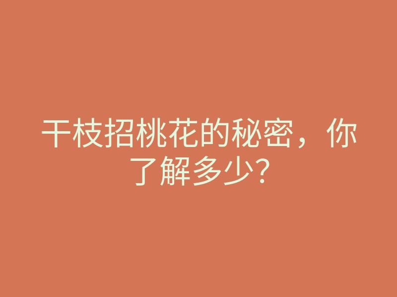 干枝招桃花的秘密,你了解多少?