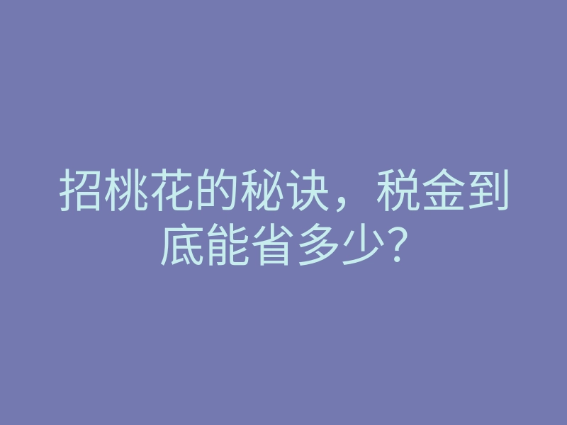 招桃花的秘诀,税金到底能省多少?
