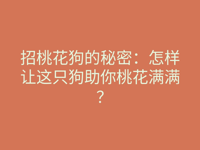 招桃花狗的秘密:怎样让这只狗助你桃花满满?