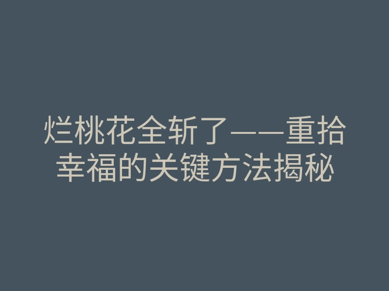 烂桃花全斩了——重拾幸福的关键方法揭秘