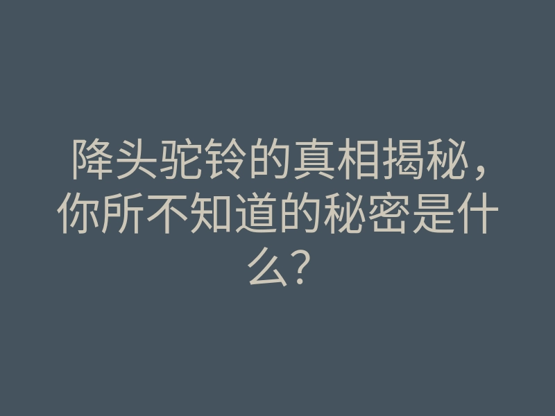降头驼铃的真相揭秘,你所不知道的秘密是什么?