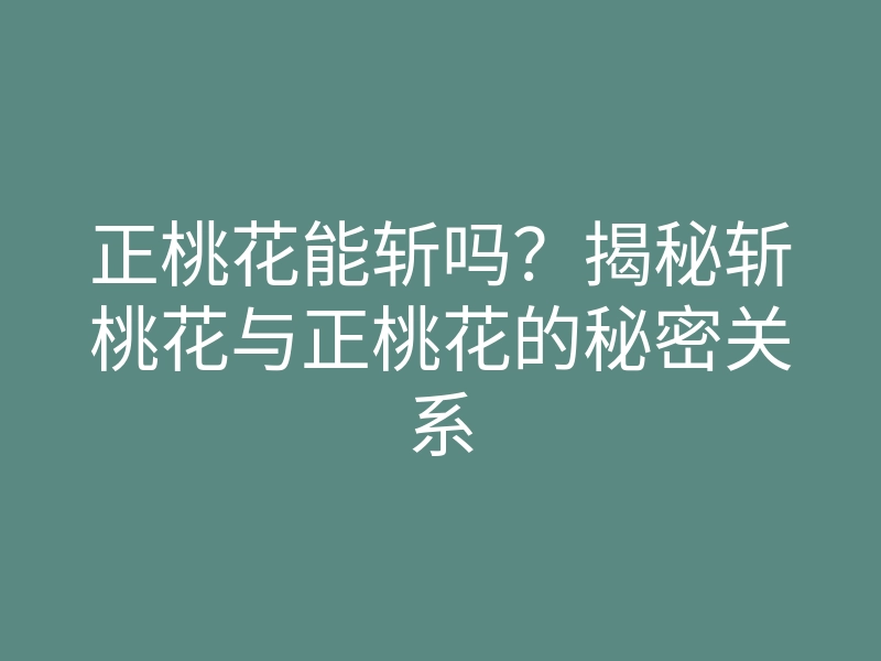 正桃花能斩吗?揭秘斩桃花与正桃花的秘密关系