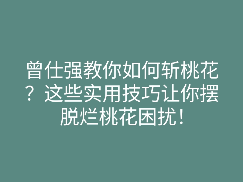 曾仕强教你如何斩桃花？这些实用技巧让你摆脱烂桃花困扰！