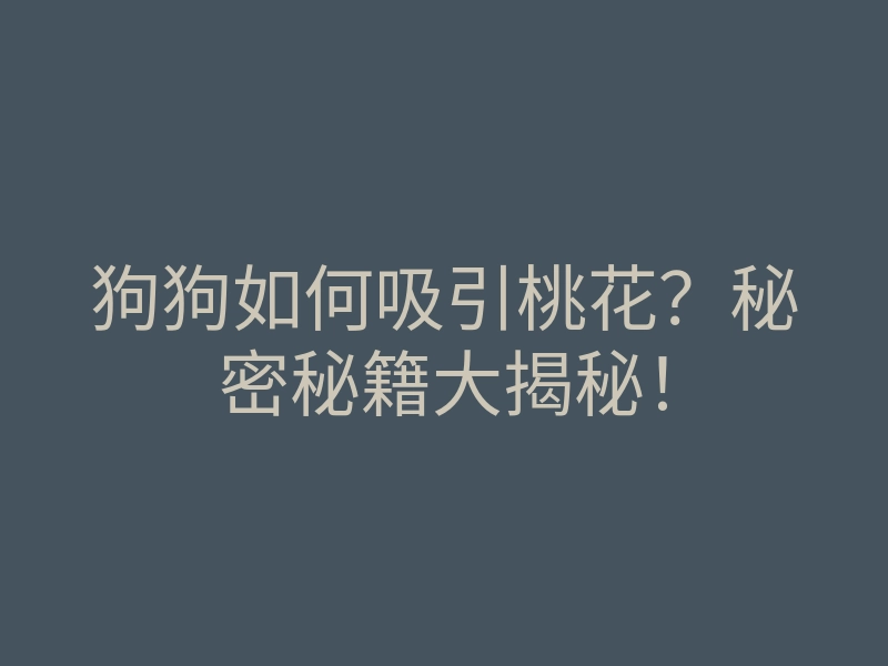 狗狗如何吸引桃花?秘密秘籍大揭秘!