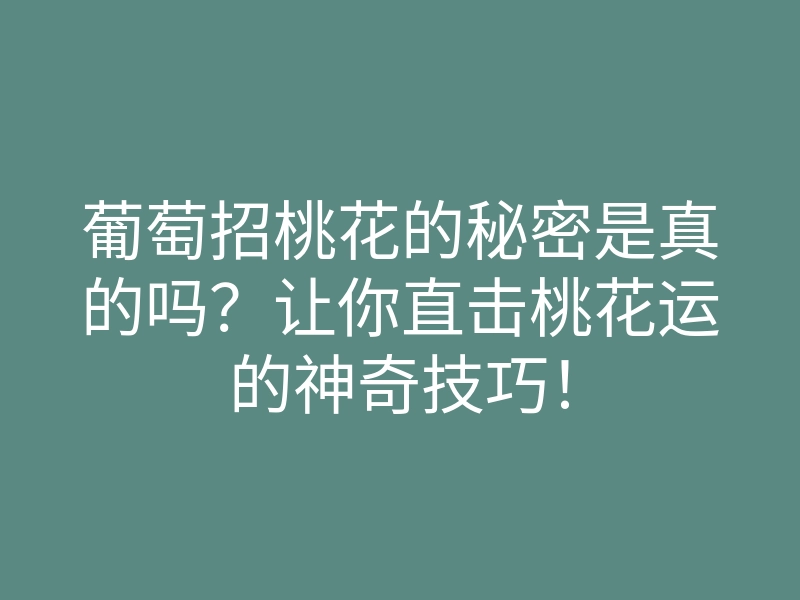 葡萄招桃花的秘密是真的吗?让你直击桃花运的神奇技巧!
