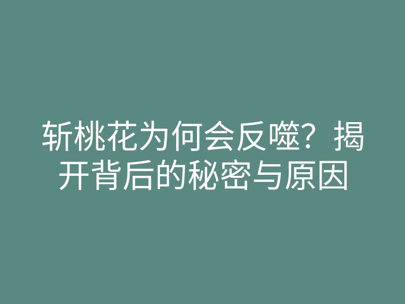 斩桃花为何会反噬?揭开背后的秘密与原因