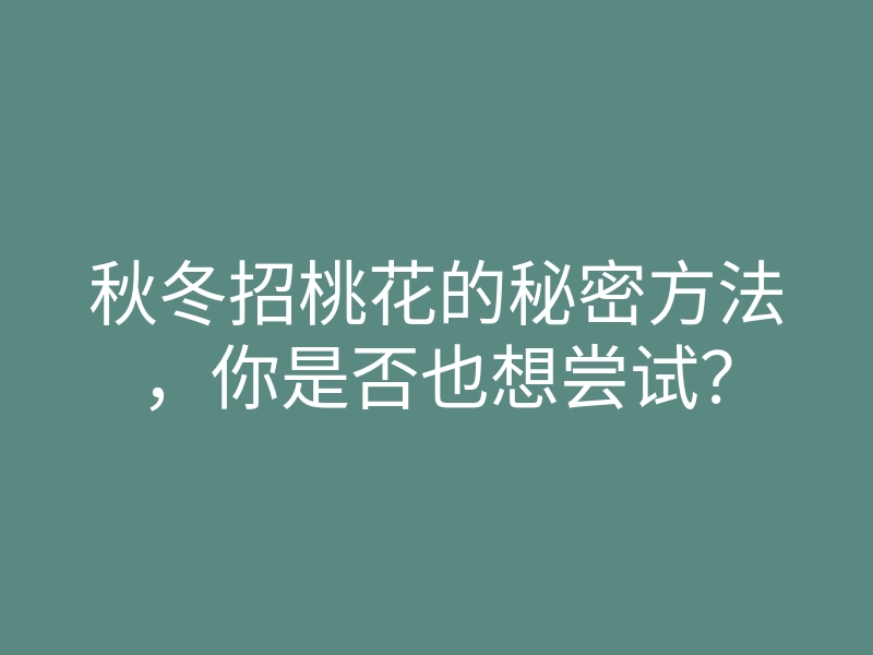 秋冬招桃花的秘密方法,你是否也想尝试?
