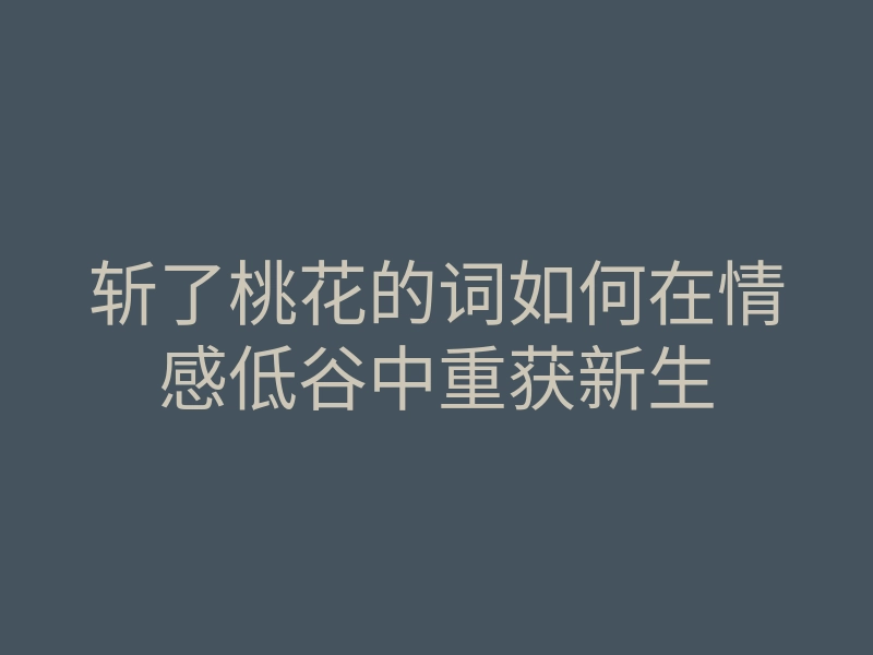 斩了桃花的词如何在情感低谷中重获新生