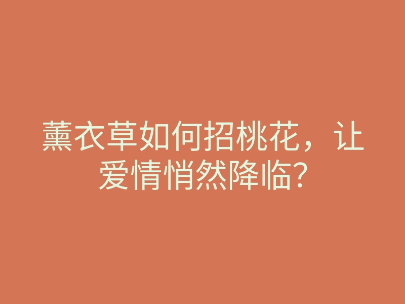 薰衣草如何招桃花,让爱情悄然降临?