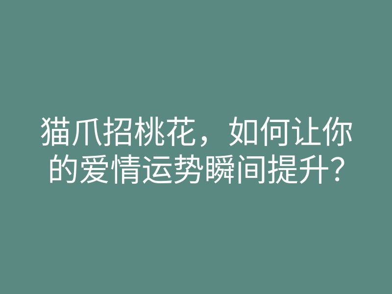 猫爪招桃花,如何让你的爱情运势瞬间提升?