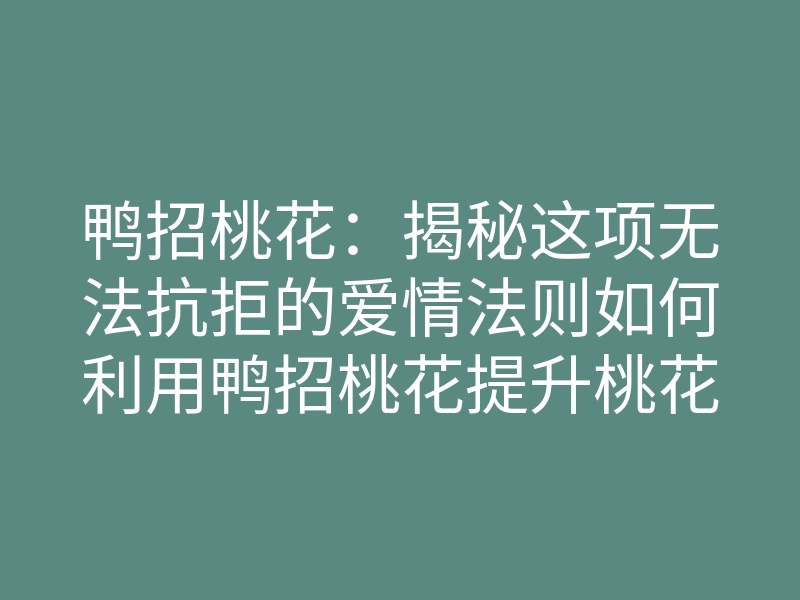 鸭招桃花:揭秘这项无法抗拒的爱情法则如何利用鸭招桃花提升桃花运
