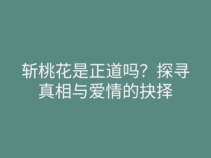 斩桃花是正道吗?探寻真相与爱情的抉择