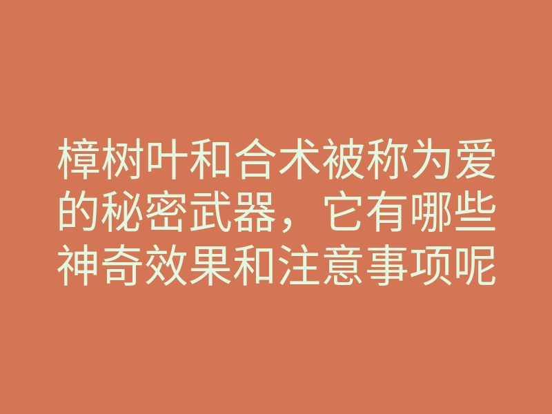 樟树叶和合术被称为爱的秘密武器,它有哪些神奇效果和注意事项呢?