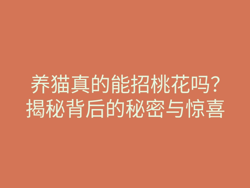 养猫真的能招桃花吗?揭秘背后的秘密与惊喜