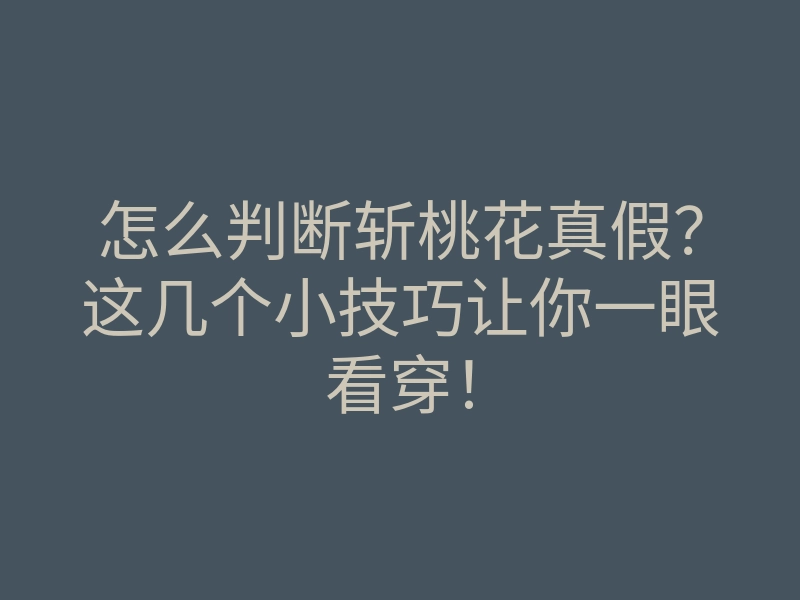 怎么判断斩桃花真假?这几个小技巧让你一眼看穿!
