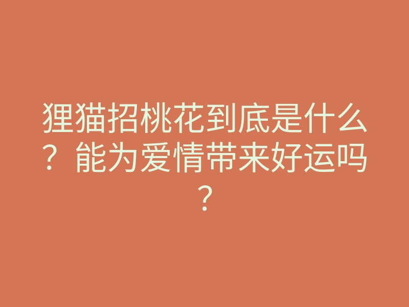 狸猫招桃花到底是什么?能为爱情带来好运吗?