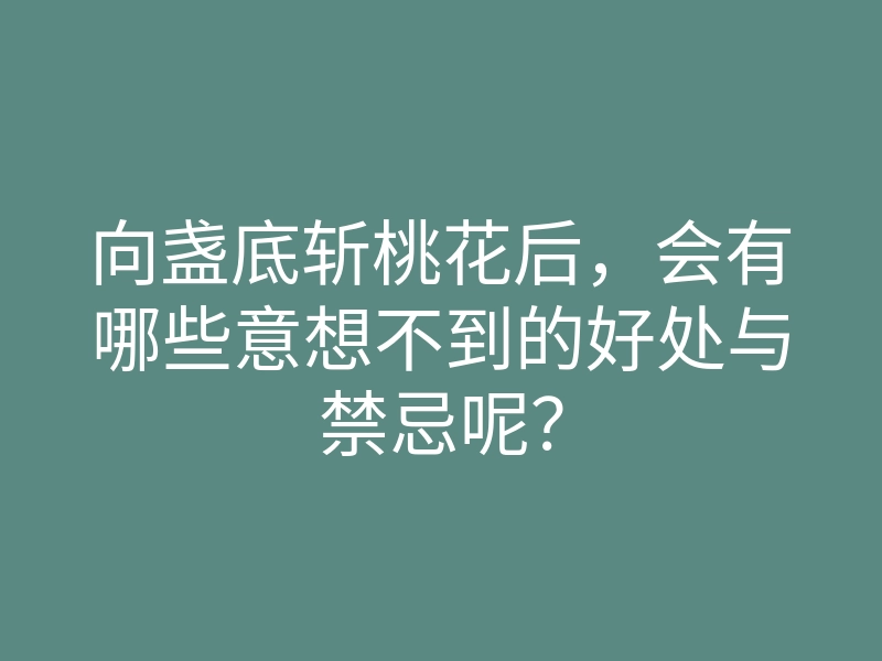 向盏底斩桃花后,会有哪些意想不到的好处与禁忌呢?