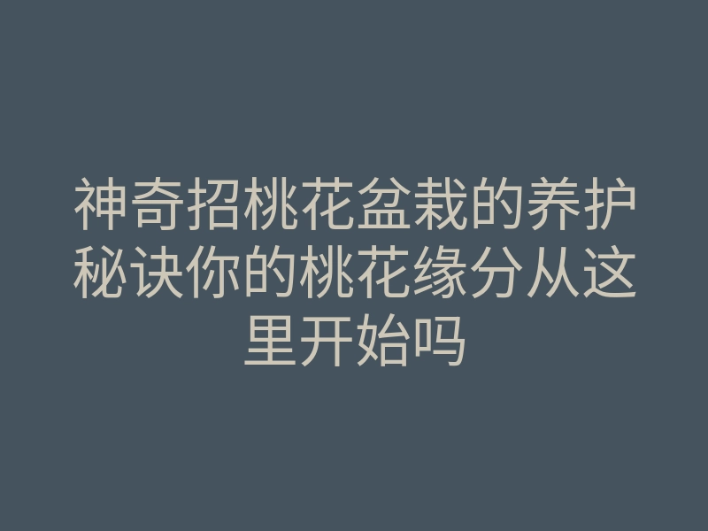 神奇招桃花盆栽的养护秘诀你的桃花缘分从这里开始吗