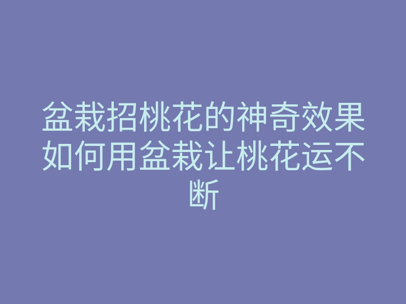 盆栽招桃花的神奇效果如何用盆栽让桃花运不断