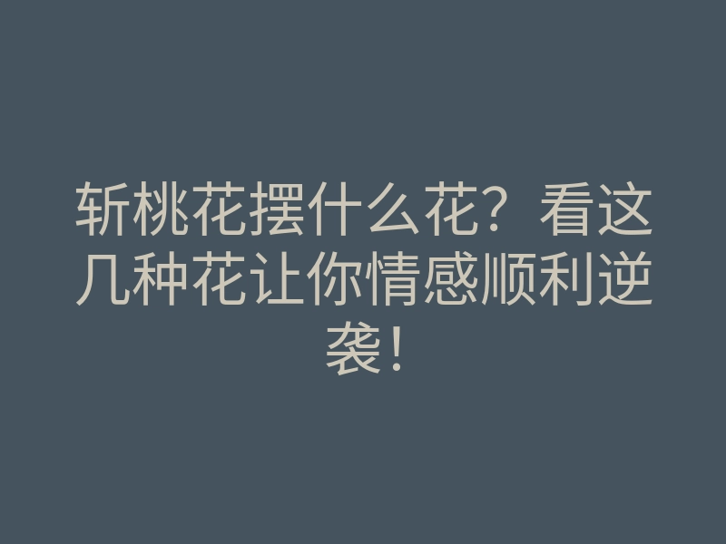 斩桃花摆什么花?看这几种花让你情感顺利逆袭!
