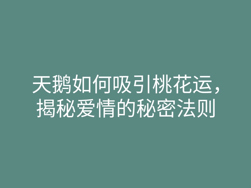 天鹅如何吸引桃花运,揭秘爱情的秘密法则
