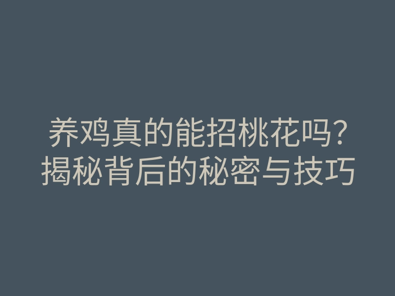 养鸡真的能招桃花吗?揭秘背后的秘密与技巧