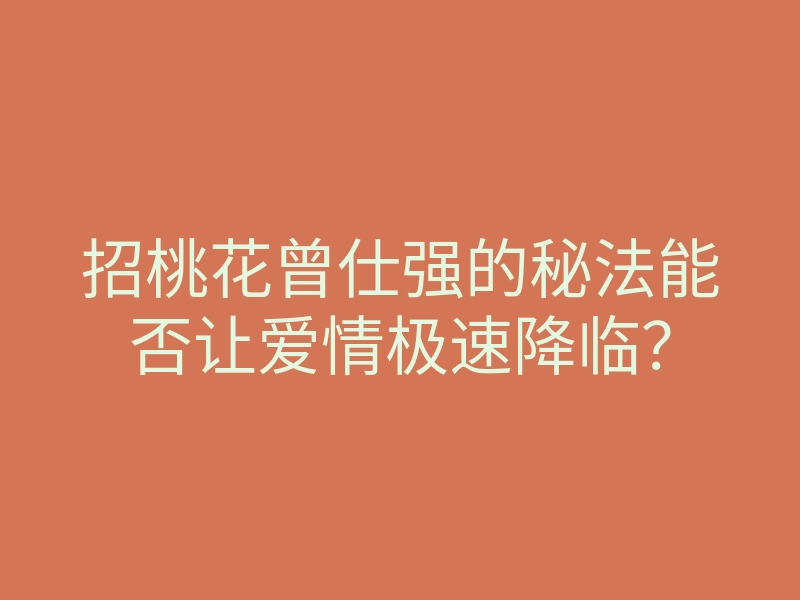 招桃花曾仕强的秘法能否让爱情极速降临?