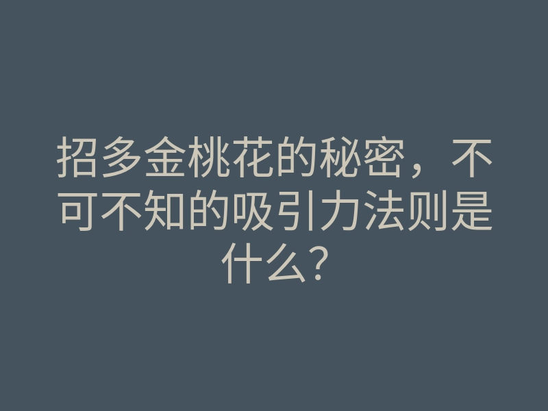 招多金桃花的秘密,不可不知的吸引力法则是什么?