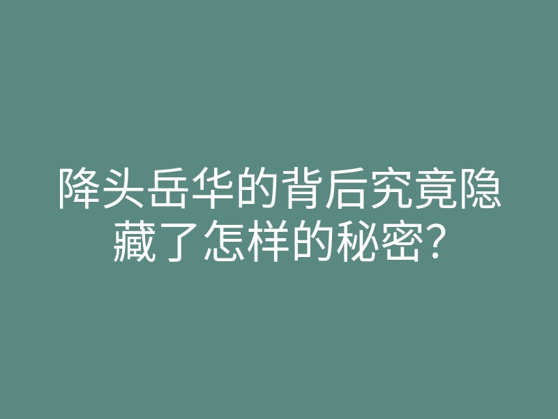 降头岳华的背后究竟隐藏了怎样的秘密?